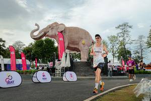 BIB: 
                            <button type="button" onclick="openModal(26528423)" class="btn btn-primary btn-sm float-right btn-popup" data-toggle="modal" data-target=".modal-high-quality">
                        <i class="fas fa-shopping-cart"></i> Add to Cart
                    </button>
                                            <button type="button" onclick="isThisMe(26528423, true)" class="btn btn-success btn-sm float-right btn-popup btn-isme hidden" data-toggle="tooltip" data-placement="bottom" title="นี่คือรูปของคุณใช่ไหม คลิกที่นี่เพื่อเอาเข้าอัลบั้ม">
                        <i class="fas fa-plus"></i> Add to album
                    </button>
                    <button type="button" onclick="isThisMe(26528423, false)" class="btn btn-warning btn-sm float-right btn-popup btn-isnotme hidden">
                        <i class="fas fa-ban"></i> Remove from album
                    </button>